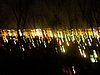 P1010930.JPG